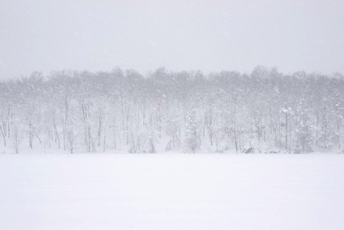 Blizzard of 2010, Upland Pond, Sparta Mountains, Sussex County, NJ Feb 10 BW (0383SA).jpg